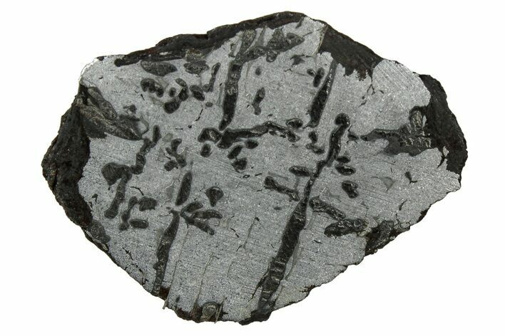 Etched Canyon Diablo Meteorite Section ( g) - Arizona #329384